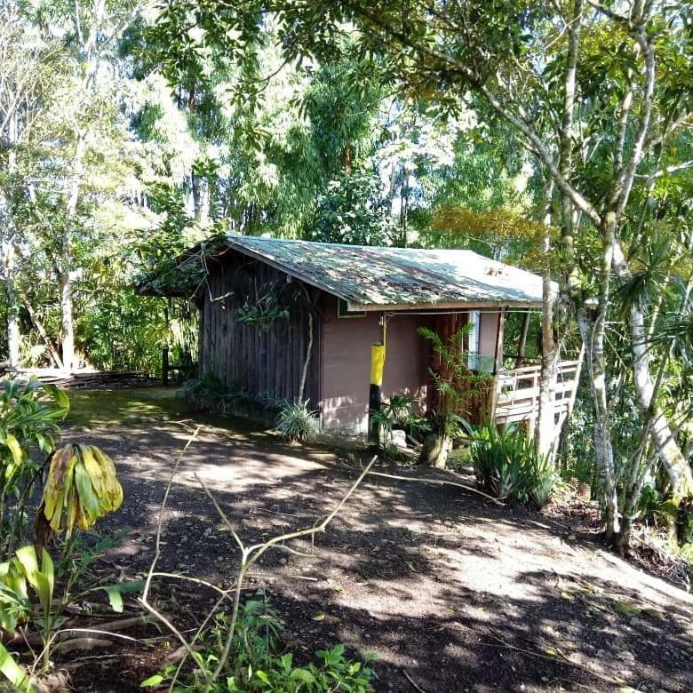 Pochotel Turrialba Buitenkant foto
